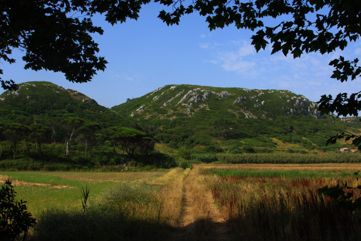 Hike_Land_Escarpas_Maceira_Penafirme_8