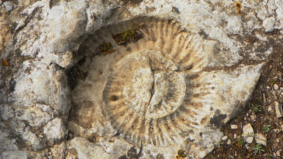 Hike_Land_Praia_Jurassica_10