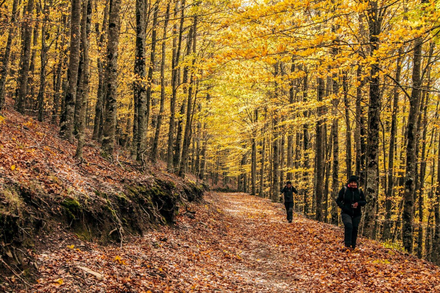 Hike_Land_Faias_1