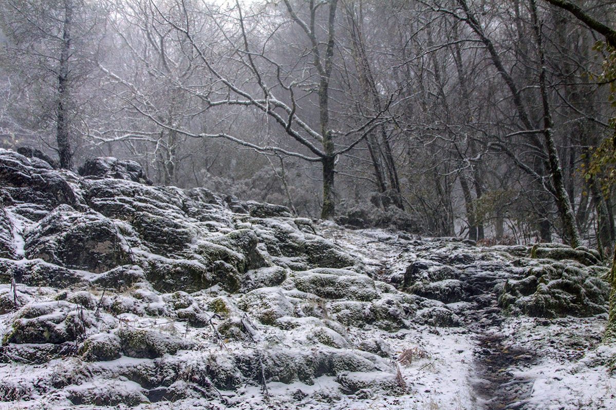 Hike_Land_Neve_5
