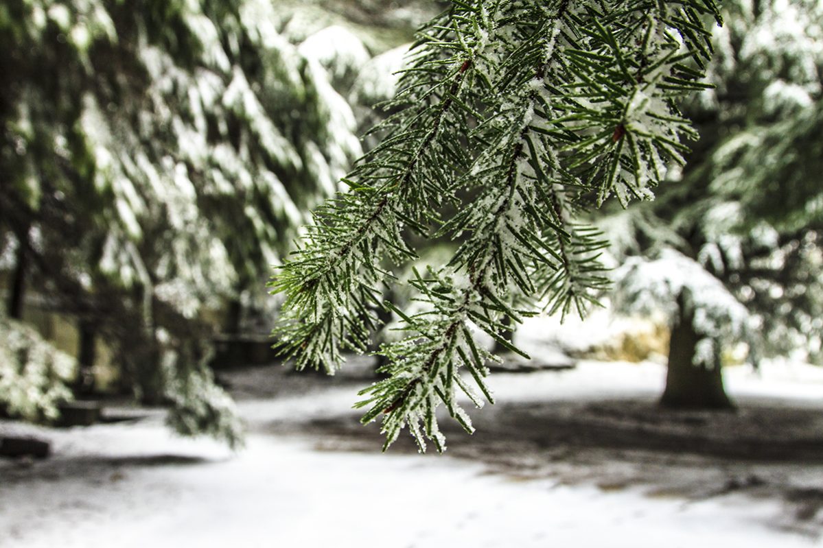 Hike_Land_Neve_8