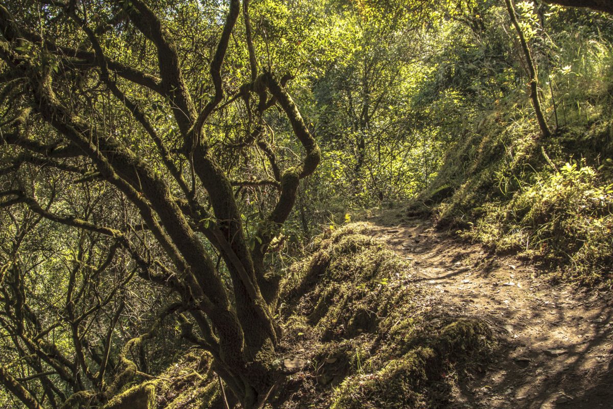 Hike_Land_Lousa_Moleiros_Aldeias_4