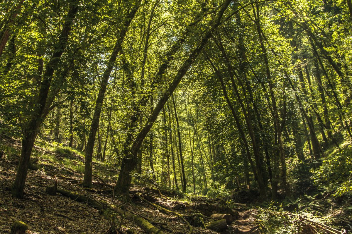 Hike_Land_Lousa_Moleiros_Aldeias_14
