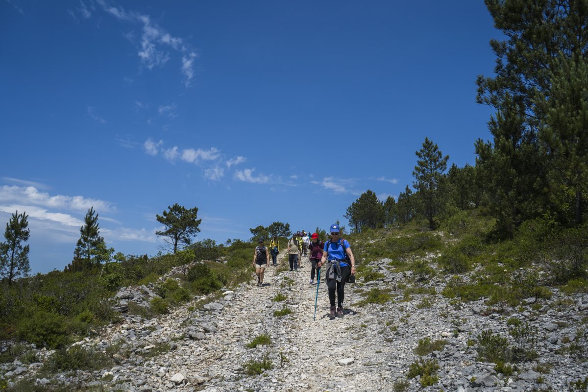 Hike_Land_Praia_Jurassica_21