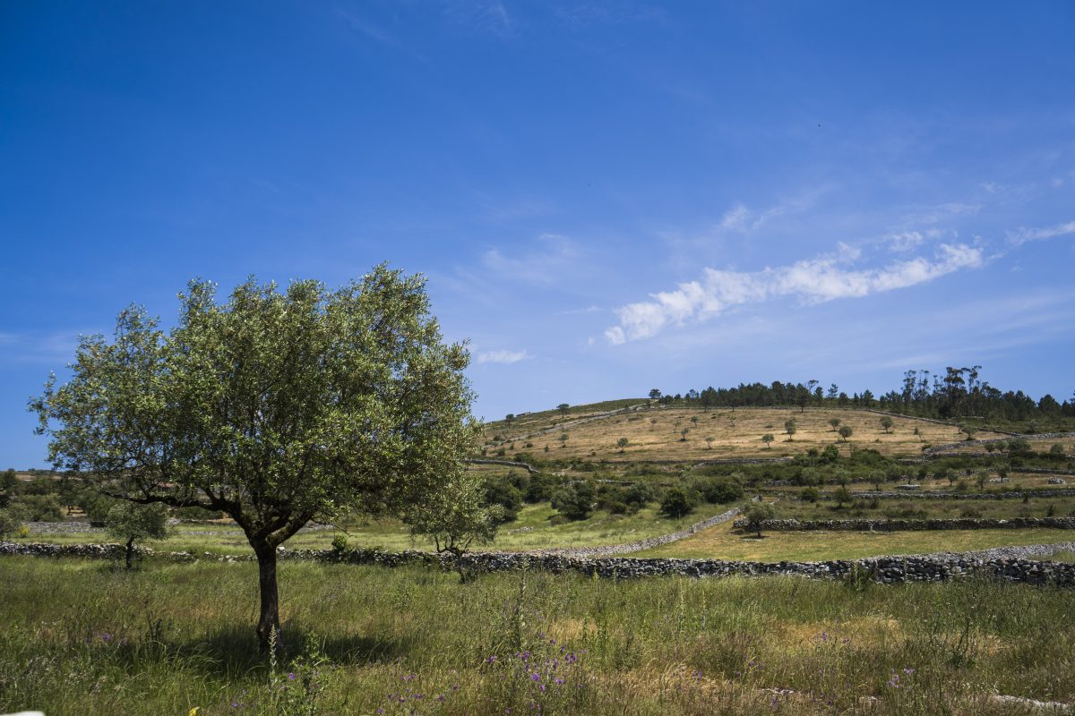 Hike_Land_Praia_Jurassica_12