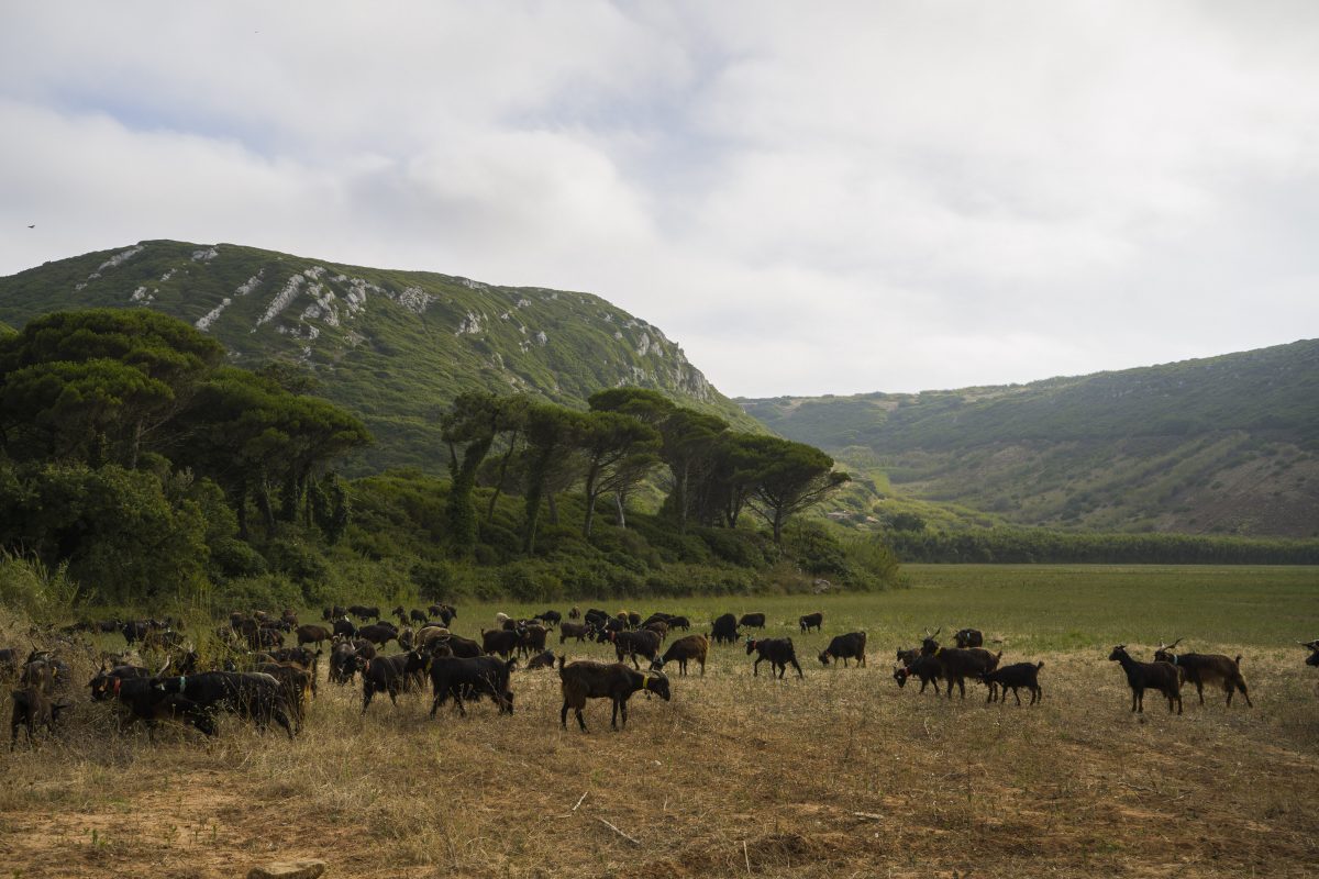 Hike_Land_Escarpas_Maceira_Penafirme_9