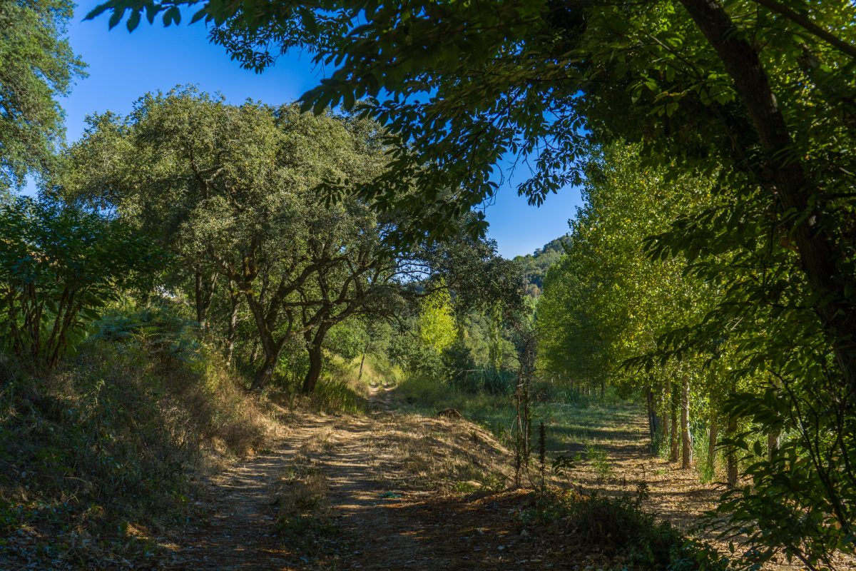 Hike_Land_Bosques_Alcobaca_12
