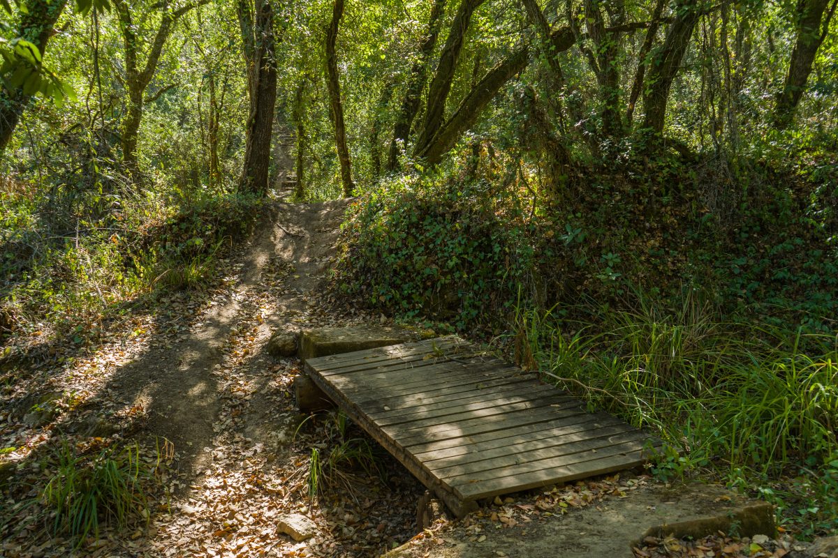 Hike_Land_Bosques_Alcobaca_10