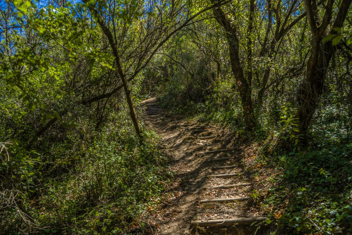 Hike_Land_Bosques_Alcobaca_5