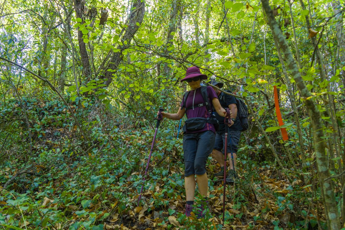 Hike_Land_Bosques_Alcobaca_17