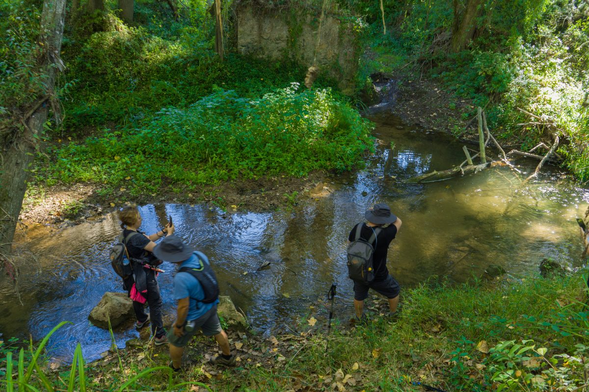 Hike_Land_Bosques_Alcobaca_4