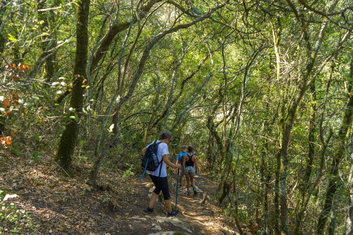 Hike_Land_Bosques_Alcobaca_6