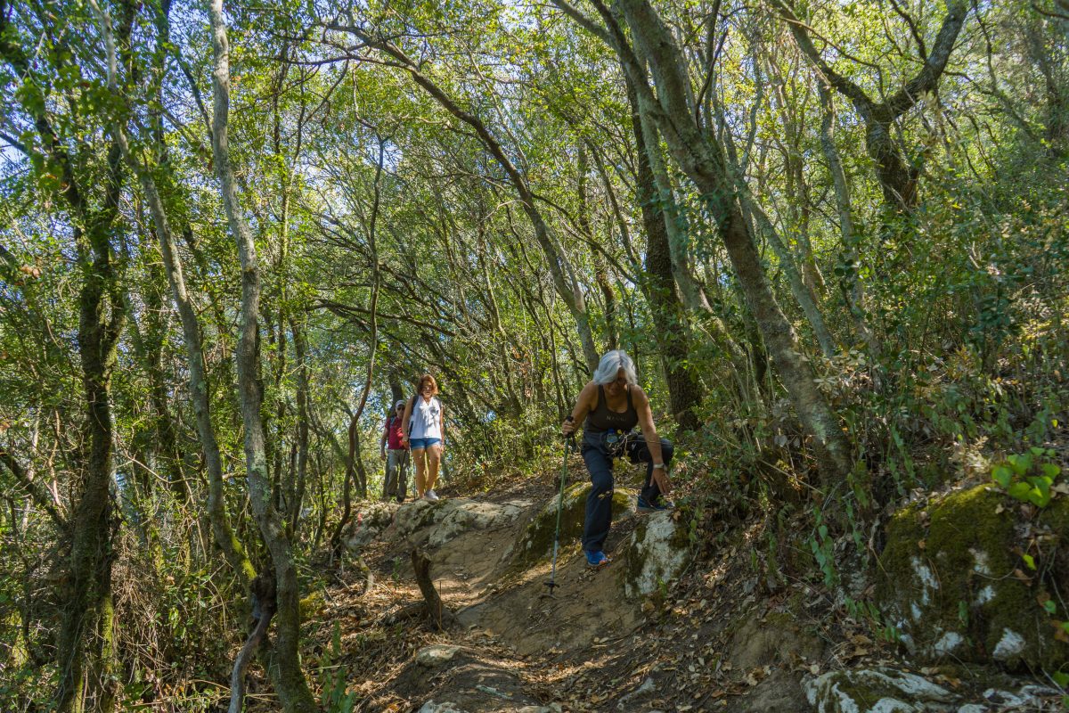 Hike_Land_Bosques_Alcobaca_19