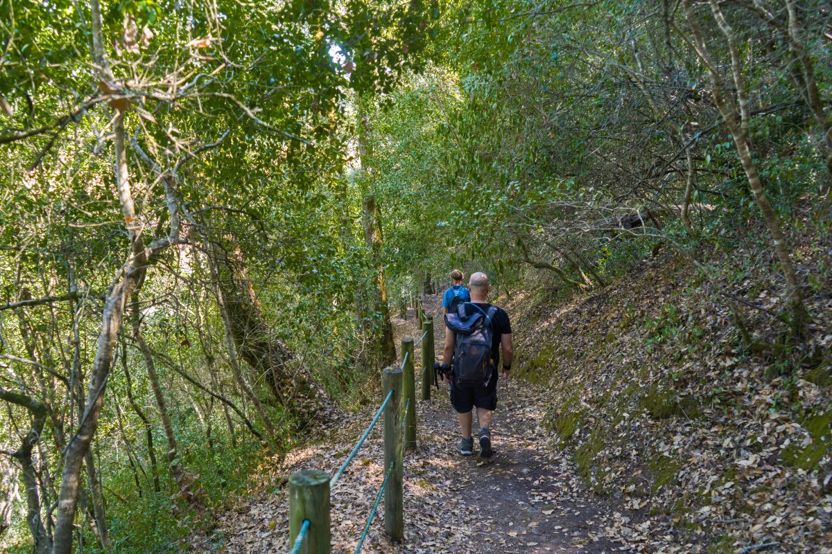 Hike_Land_Bosques_Alcobaca_13