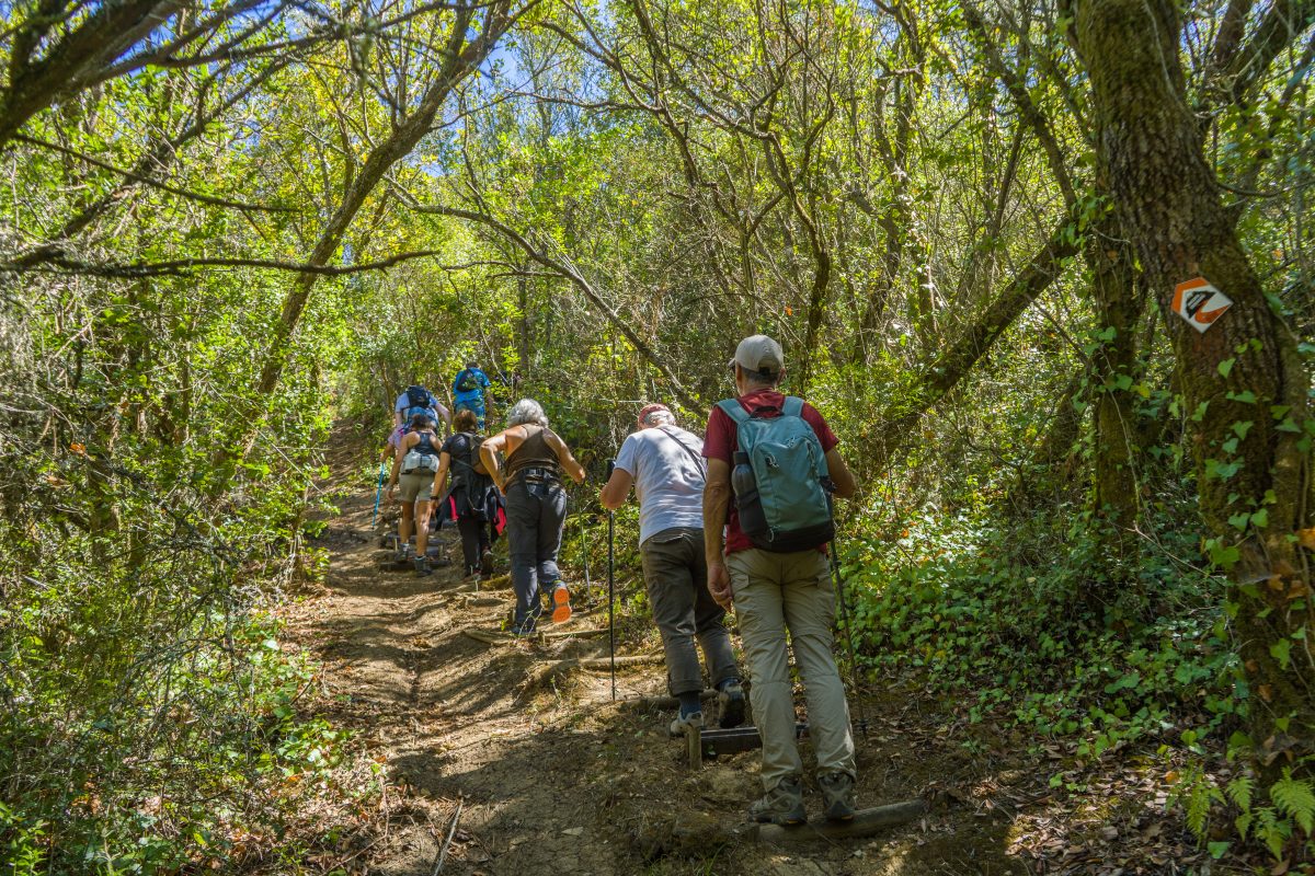 Hike_Land_Bosques_Alcobaca_9