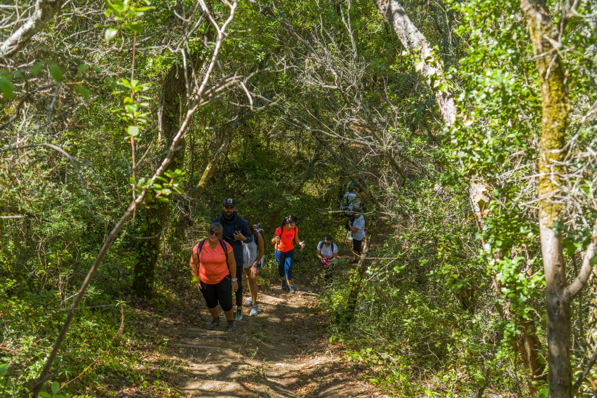 Hike_Land_Bosques_Alcobaca_2