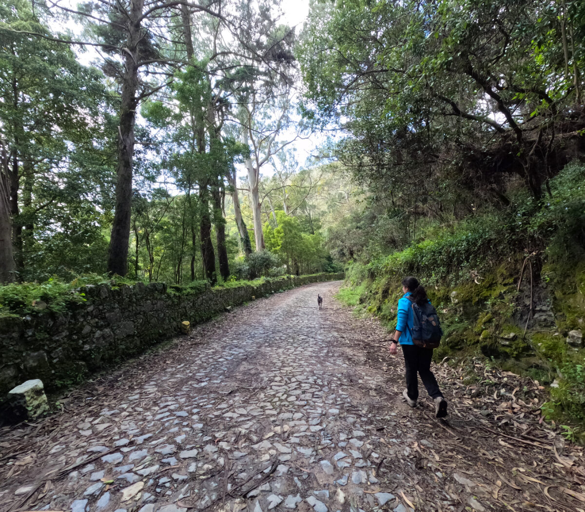 Hike_Land_Penaferrim_Loba_10