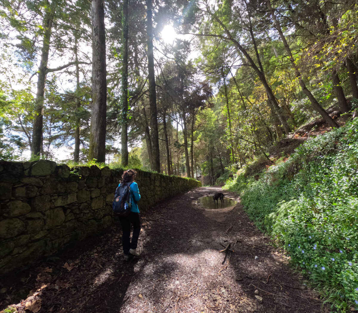 Hike_Land_Penaferrim_Loba_12