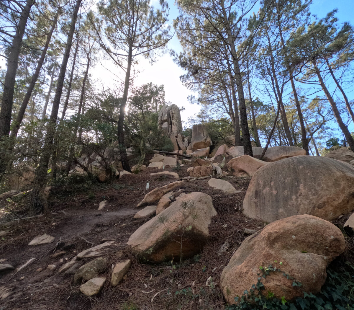 Hike_Land_Penaferrim_Loba_11
