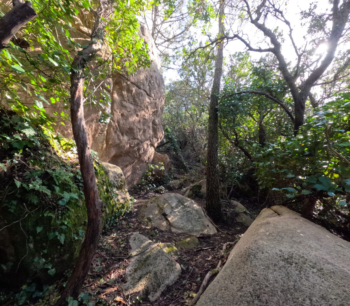 Hike_Land_Penaferrim_Loba_14