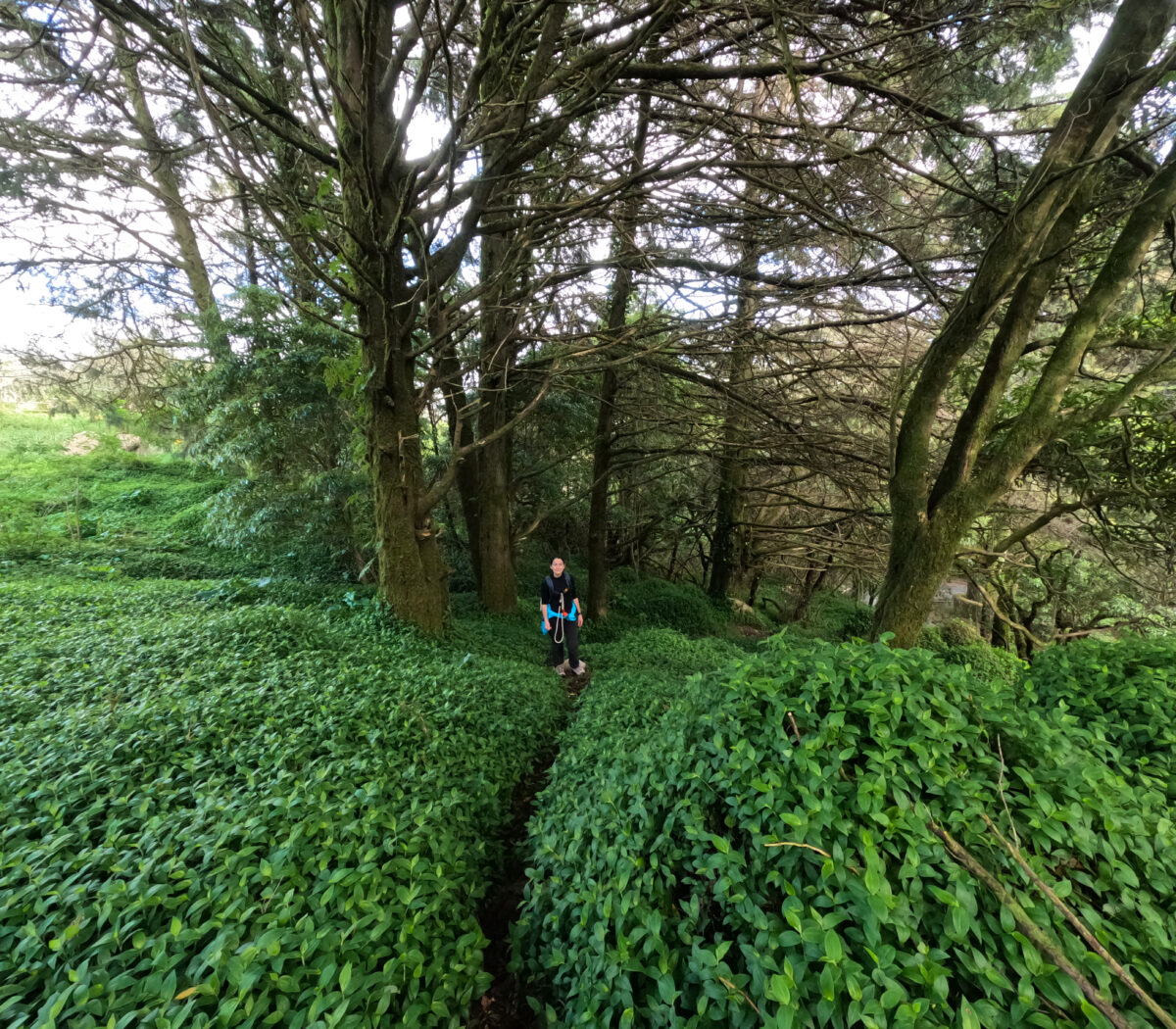 Hike_Land_Penaferrim_Loba_5