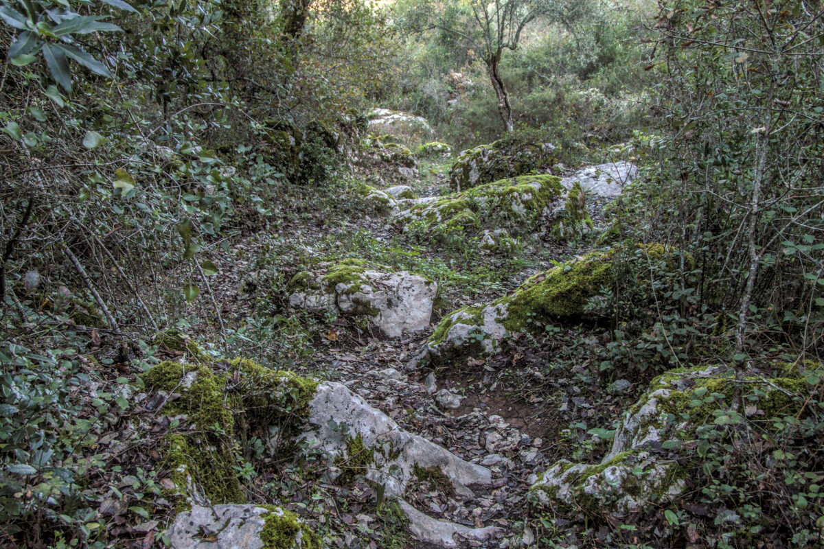 Hike_Land_Natal_26_14