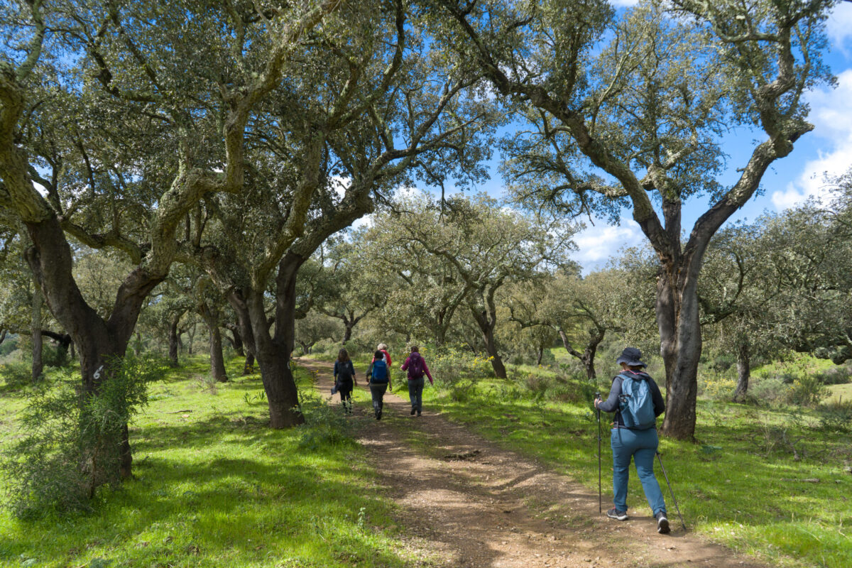 Hike_Land_Passagem_Ano_Ossa_Convento_4