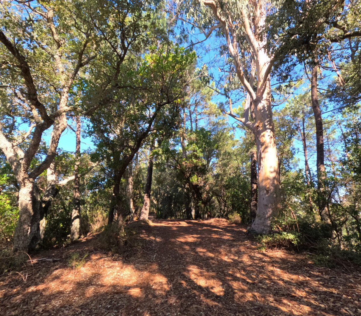 Hike_Land_Montachique_9