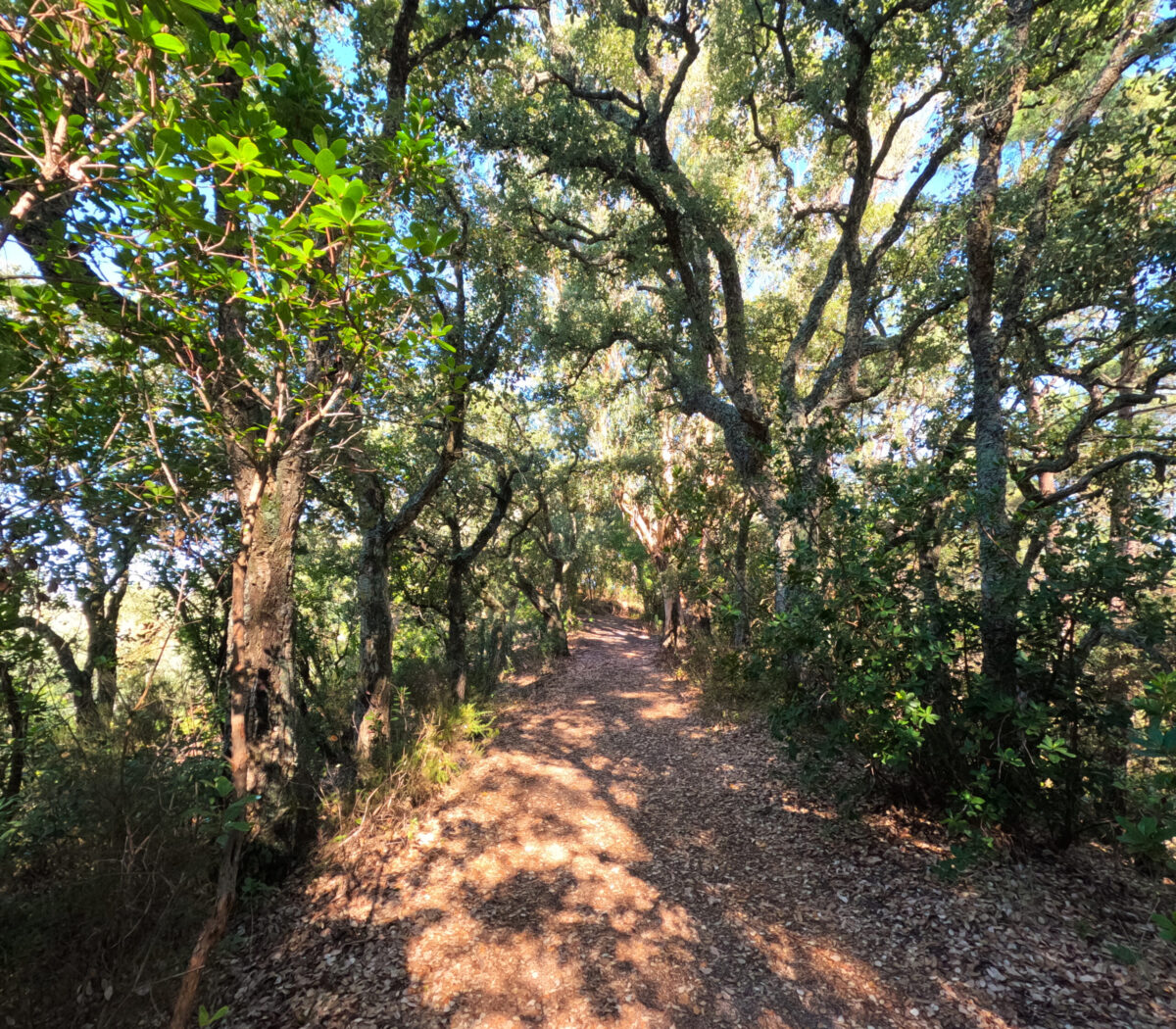 Hike_Land_Montachique_5