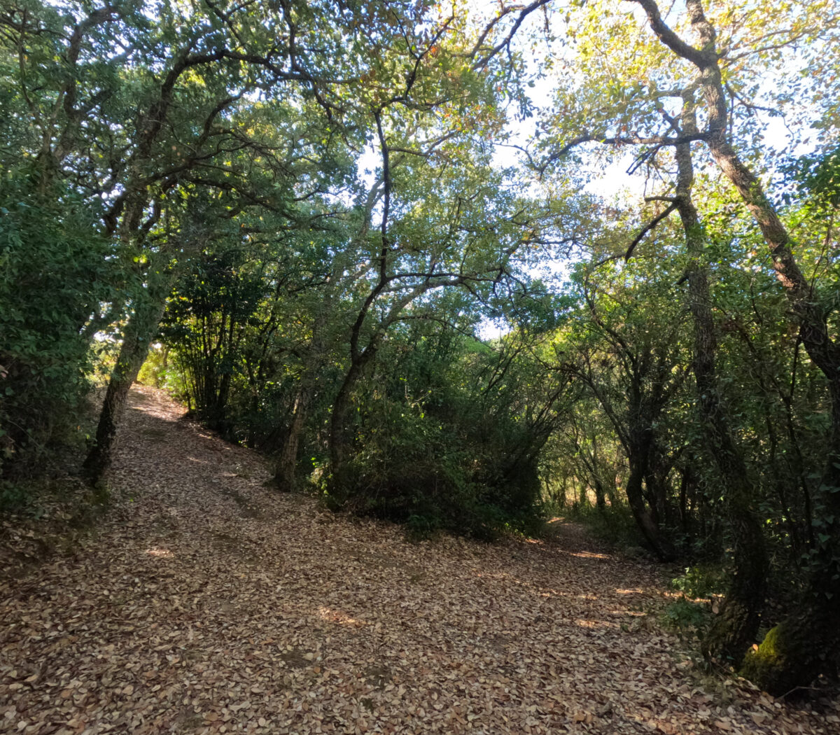 Hike_Land_Montachique_3