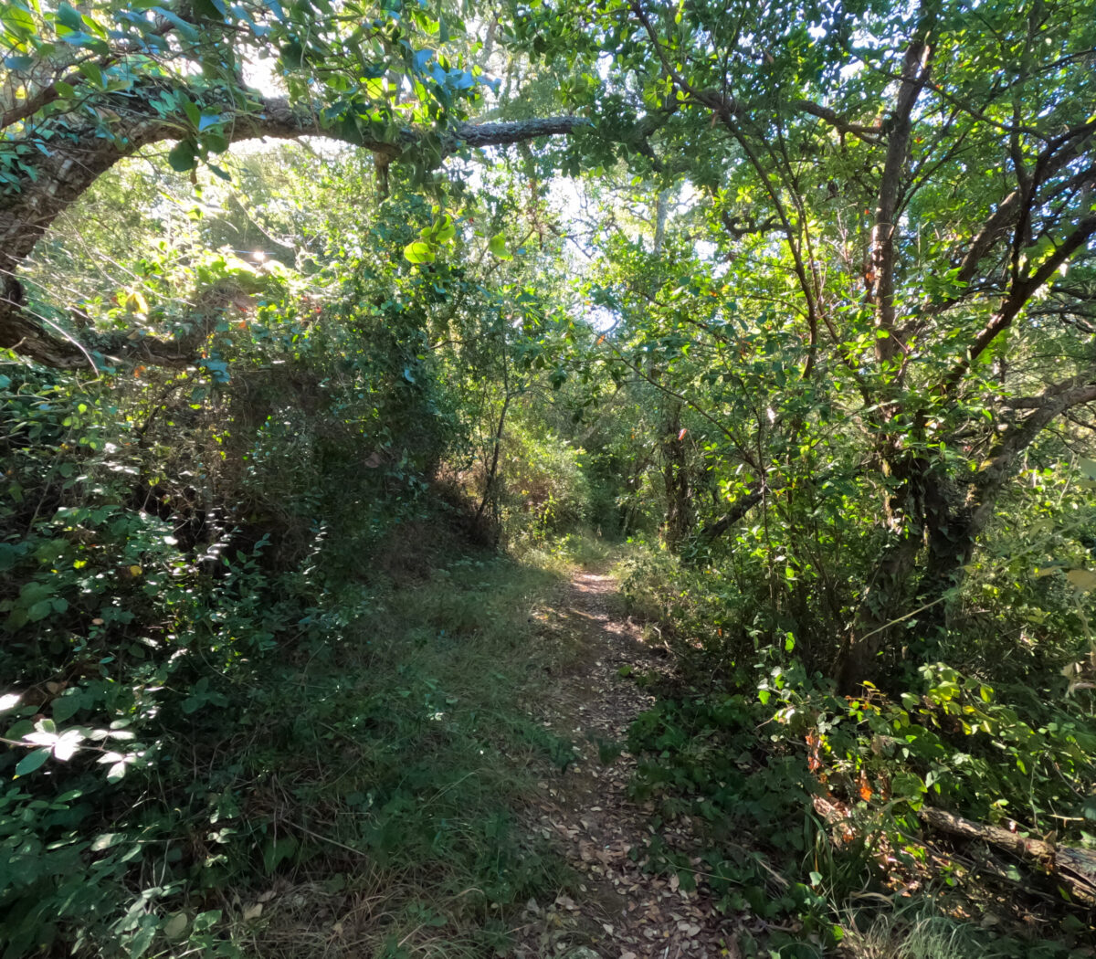 Hike_Land_Montachique_11