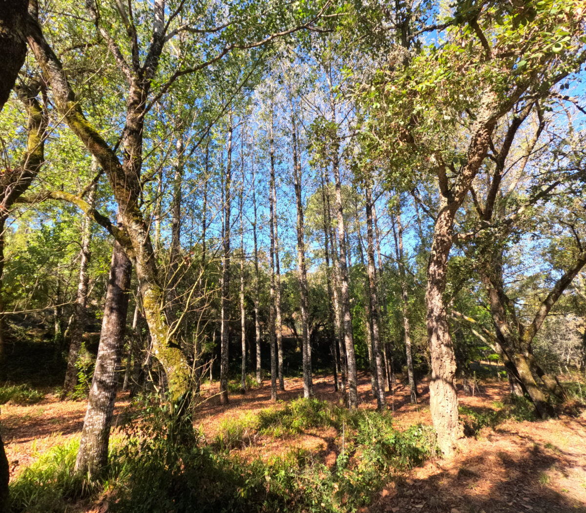 Hike_Land_Montachique_10