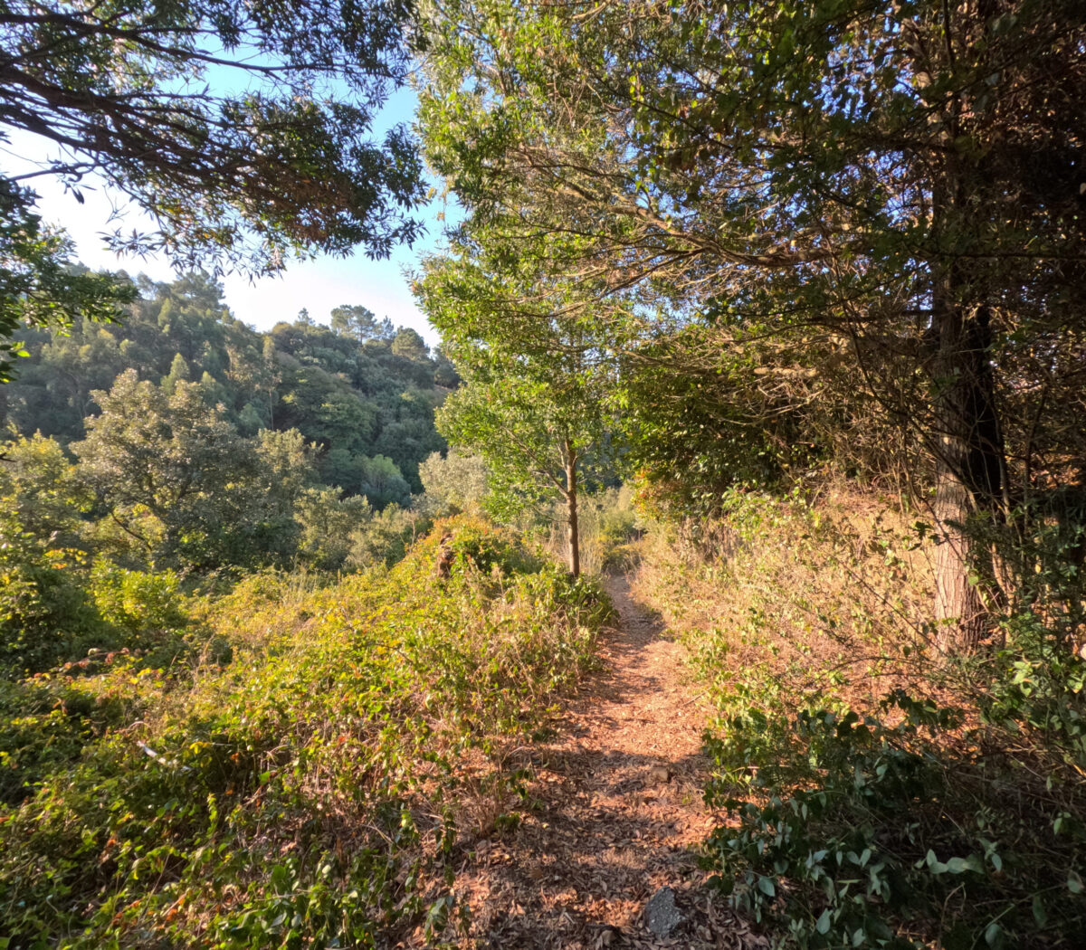 Hike_Land_Lizandro_Zambujal_9