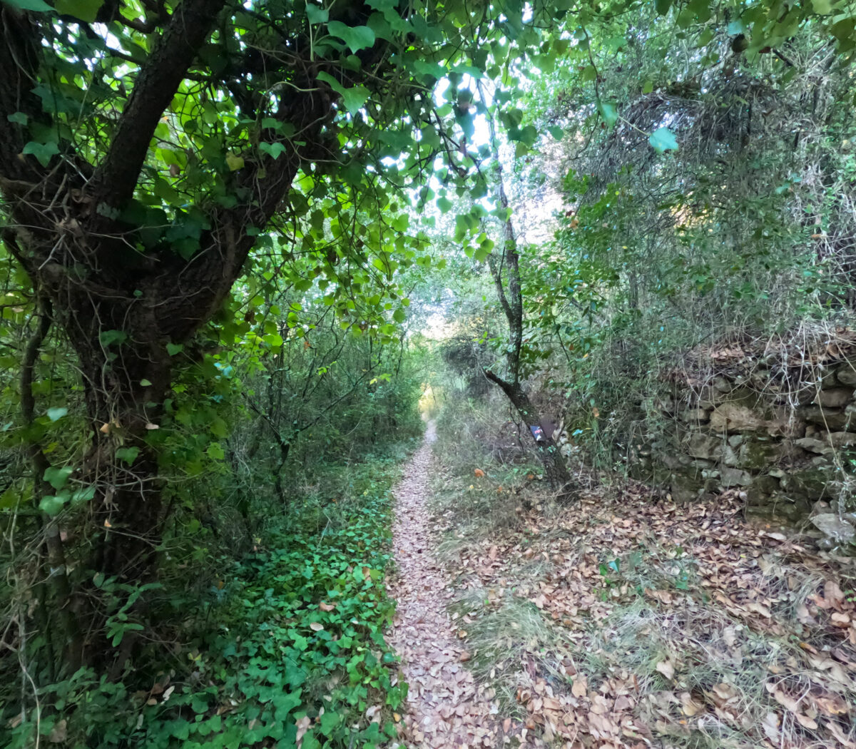 Hike_Land_Lizandro_Zambujal_2