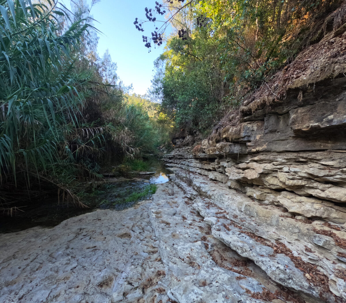 Hike_Land_Lizandro_Zambujal_7