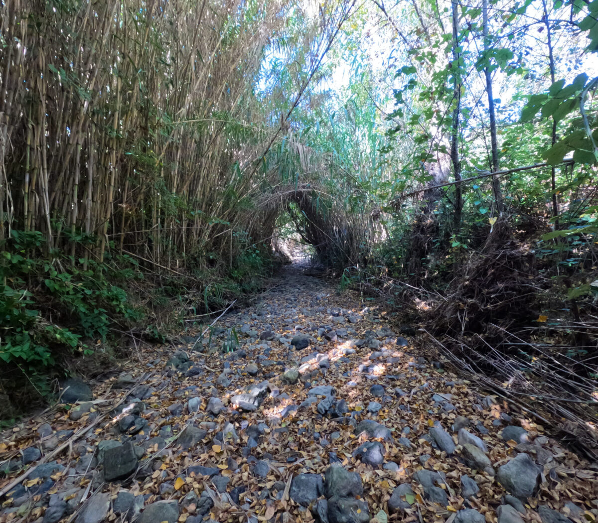 Hike_Land_Lizandro_Zambujal_4