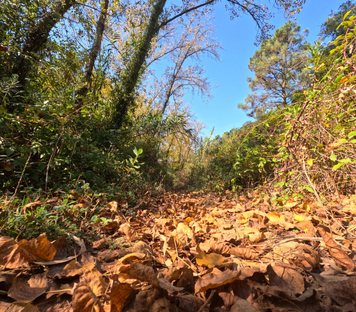 Hike_Land_Lizandro_Zambujal_11