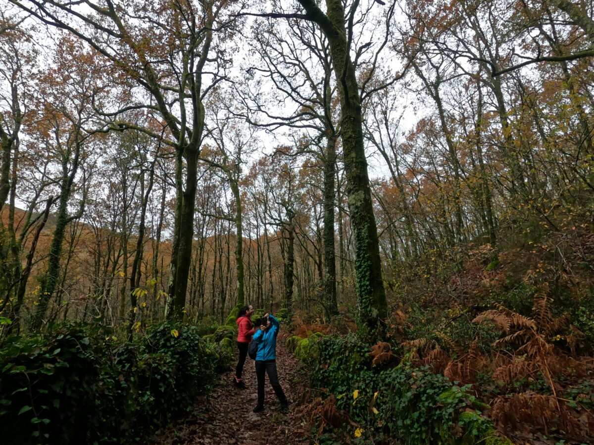 Hike_Land_Carvalhais_Fafe_3