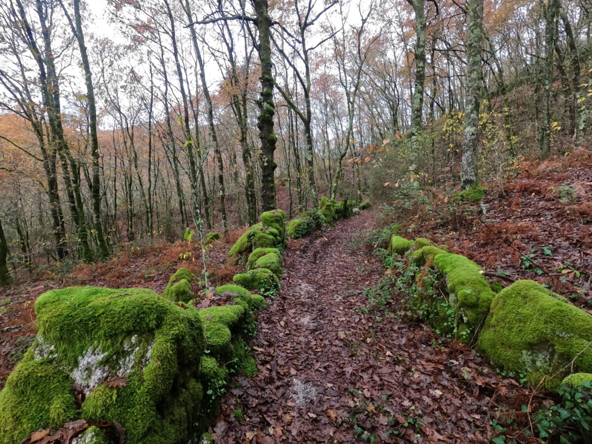 Hike_Land_Carvalhais_Fafe_4