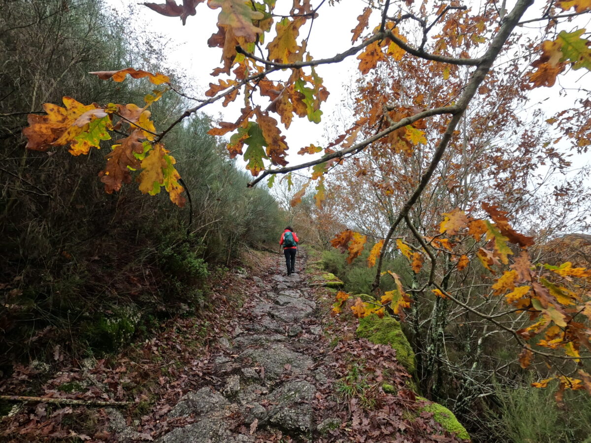Hike_Land_Carvalhais_Fafe_8