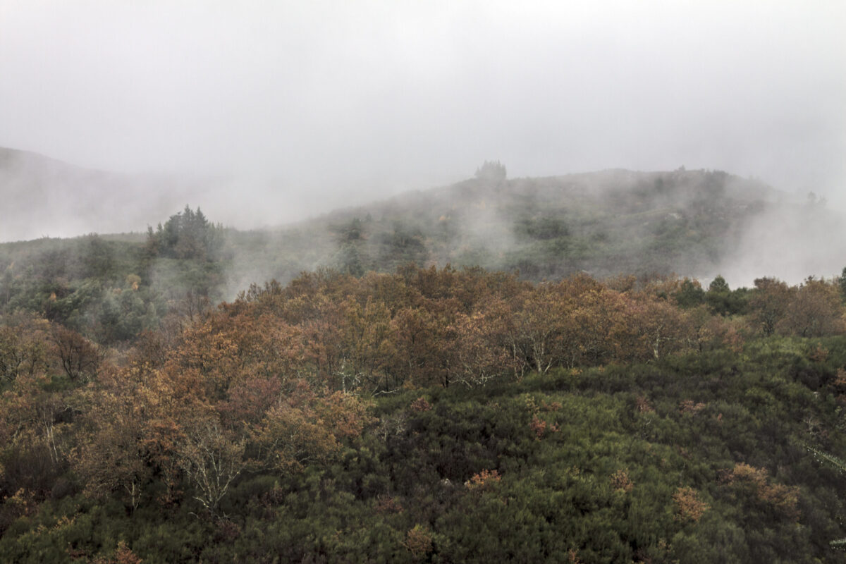 Hike_Land_Levada_Bosques_Outono_6