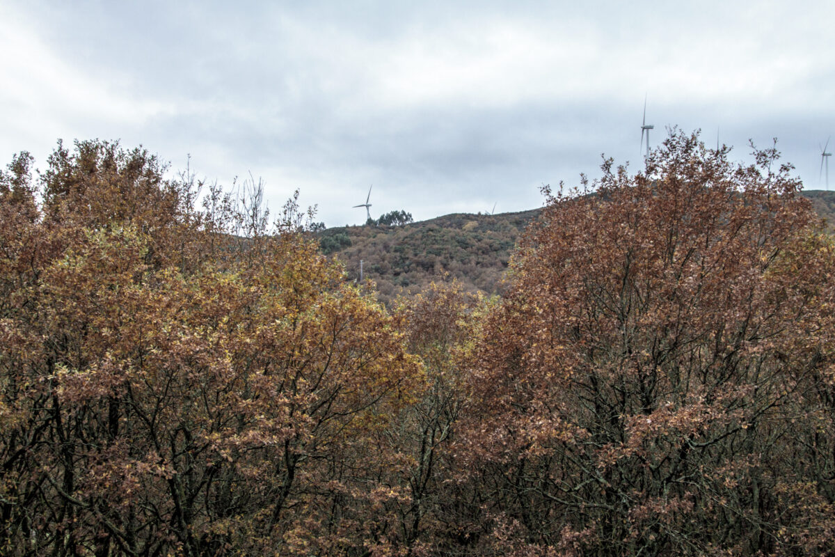 Hike_Land_Carvalhais_Fafe_1