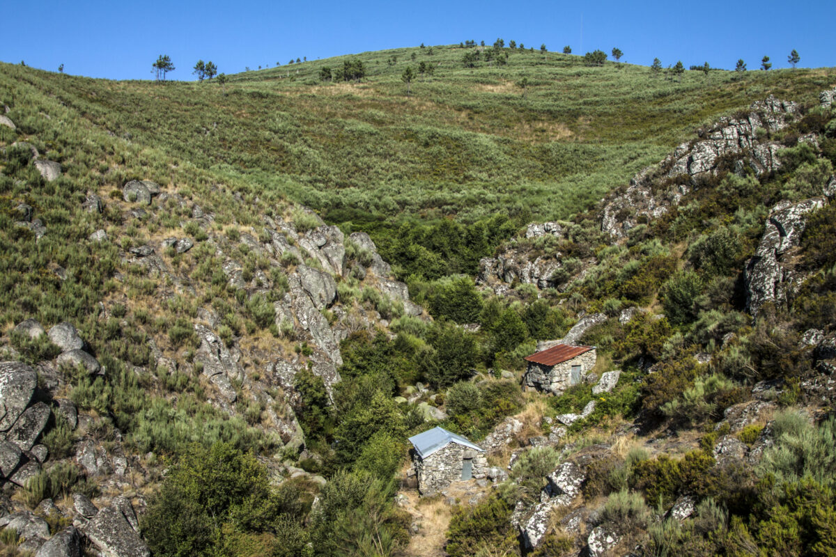 Hike_Land_Carnaval_Lazarim_19