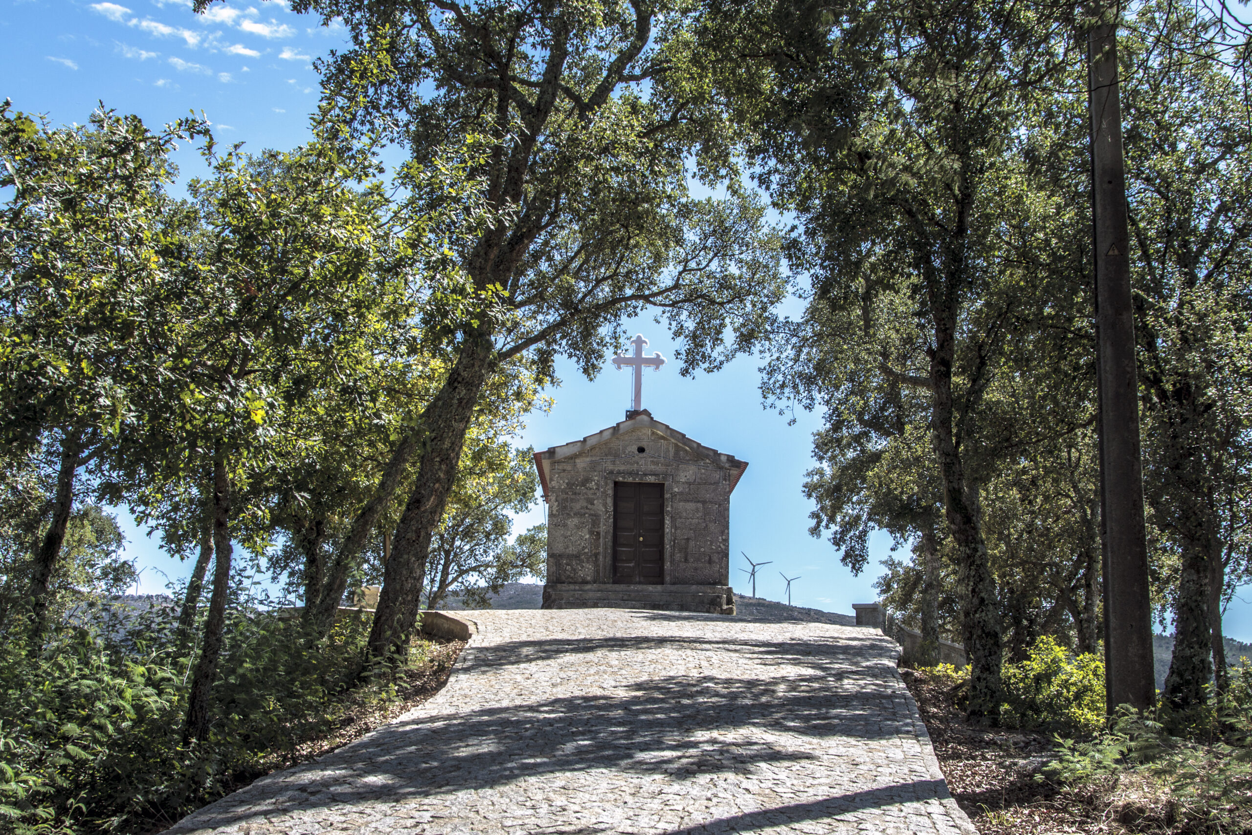 Hike_Land_Bosques_Caramulo_Orca_Literária_5