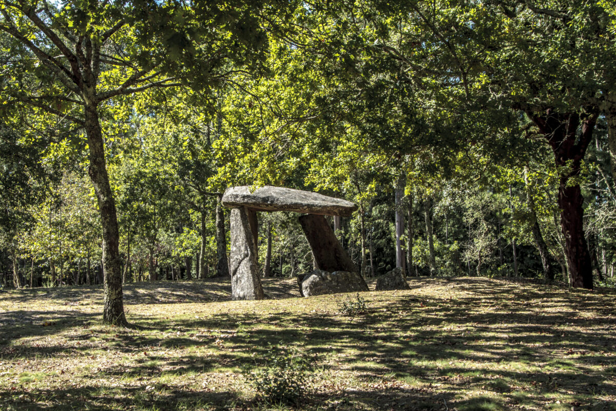 Hike_Land_Bosques_Caramulo_Orca_Literária_12